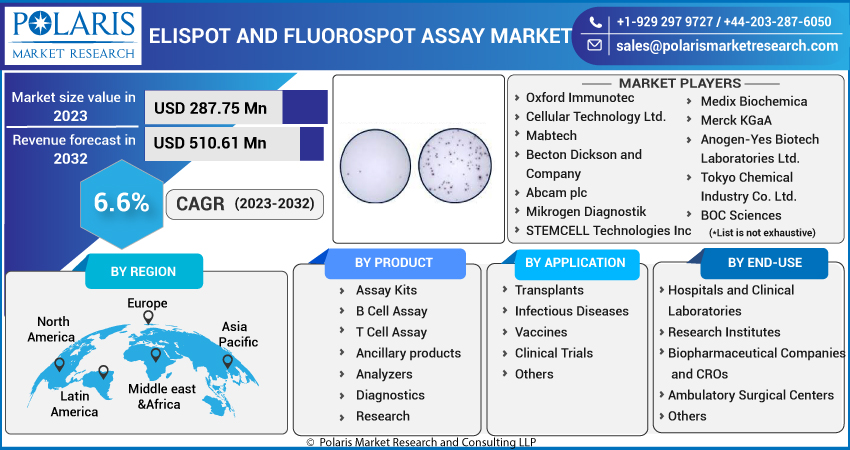 ELISpot and FluoroSpot Assay Market